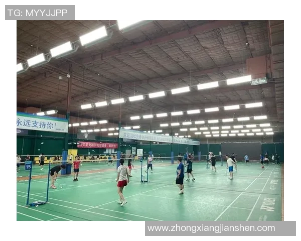 西安羽毛球队转型之路的挑战与机遇全景揭秘