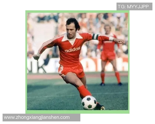 十六号足球明星的传奇之路与辉煌成就解析