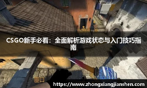 3377体育APP