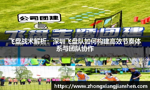 3377体育APP