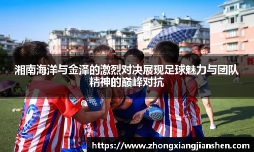3377体育官网